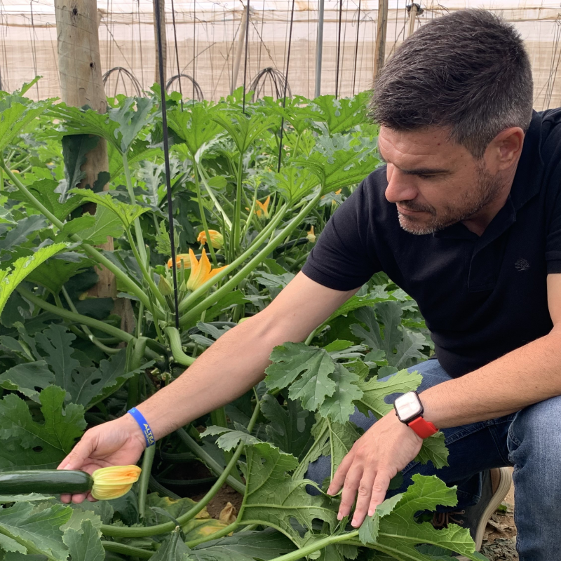 La generación Z y Alfa: los próximos consumidores del sector agro